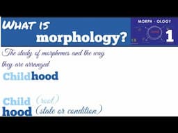 What is morphology| Syllable vs morpheme|Morphemes and Syllables: Free and Bound Morphemes Explained