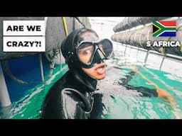 CAGE DIVING WITH SHARKS (South Africa is WILD!)