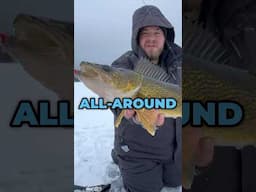 What rod ALWAYS stays with me on the ice?!? #Walleye #walleyefishing #fishing #shorts #tips