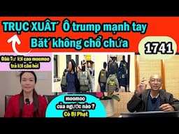 Trục xuất, Ô Trump thẳng tay bắt nhiều không chổ chứa, đầu tư Moomoo trả lời, #1741