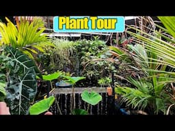 Plant Tour! What's Going on in my Indoor Jungle Garage