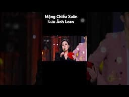 Gió chiều thầm vương bao nhớ nhung … #bolero #nhactrutinh #luuanhloan #casiluuanhloan