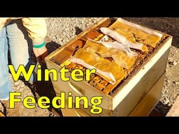 Feeding Our Bees In Winter