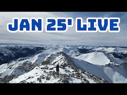 January 2025 Live Stream!