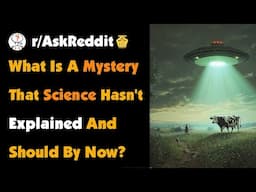 What Is A Mystery That Science Hasn't Explained And Should By Now?