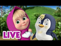 🔴 LIVE STREAM 🎬 Masha and the Bear 🤝🌟 Good Intentions 🤗💖