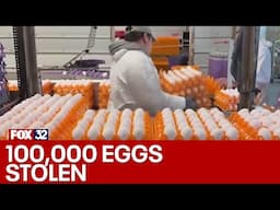 Across America: 100,000 eggs stolen from farm