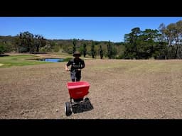 All You Need to Know about Seeding and Sprigging a Lawn