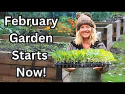 What to Plant in February:  Indoor Seeds, Outdoor Sowing & Transplants