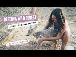 Mi proyecto de vida la Reserva Wild Forest | Dulcinea