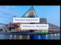 Acuario en Baltimore, Maryland. (Paseo en Familia)