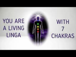 Sadhguru - You are a linga with seven chakras , It's right here within you