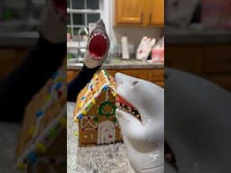 SHARK PUPPET GINGERBREAD HOUSE GETS OBLITERATED