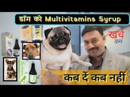 Dog Multivitamin Syrup का खर्च होगा कम 🐕 जान लो कब दें कब नहीं vitamin syrup for dog