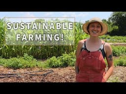 Sustainability and Diversity at Phenomenal Farms