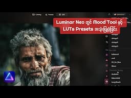 Luminar Neo တွင် Mood Tool & LUTs Presets Tool  အသုံးပြုပုံ