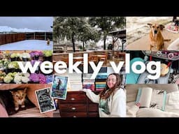 snow storm, trader joe's haul, & more fantasy romance books | WEEKLY VLOG