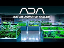 EVERY Aquarium inside the FAMOUS ADA Japan Gallery