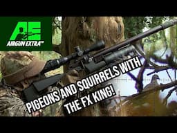 Airgun Extra | Pigeon and squirrel shooting with the FX King | Kral Puncher K review