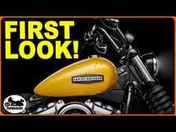 FIRST LOOK 2025 HARLEY DAVIDSON Street Bob! Bigger Engine!