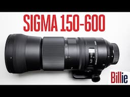 The Best SPORTS & WILDLIFE Lens Under $1,000: SIGMA 150-600 Review.