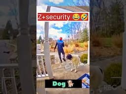 German Dog Z+ Security hoti h 🐕 #doglover #trending #viralshort #shorts #germansheparddog