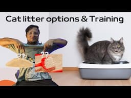 🔥 Unbelievable Cat Litter Hacks & Top Training Secrets Revealed! 😺| in Hindi