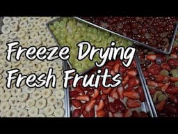 Freeze Drying Fresh Fruits