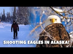 EAGLE PHOTOGRAPHY IN ALASKA | Canon R5 Bird Photography Test