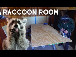 Turning my Bedroom into a Massive Raccoon Enclosure!  Part 1