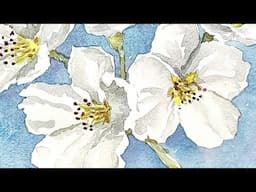 Cherry Blossoms in Watercolour | My Complete Process Demonstrated