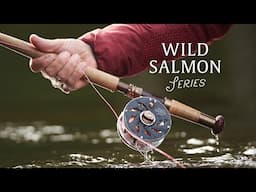 Introducing: SALAR Wild Salmon Series