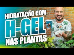 Tudo sobre o H-GEL | Nunca mais PERCA suas PLANTAS por falta de Água!