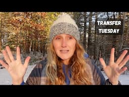 A low income month (but still saving!) and thinking about the future | Transfer Tuesday