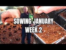 January Week 2: Discover What I'm Sowing in My No Dig Norfolk Garden!