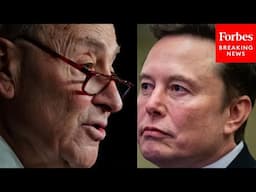 Chuck Schumer Asked How Dems Can Counter Musk While Being In The Minority In Government