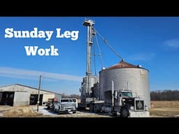 Learning How To Take A Grain Leg Apart- What Is Going On At The Home Farm?