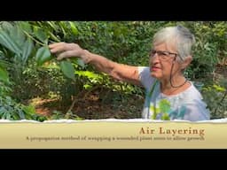 In the Garden With...(S.2/Ep.1) Neltie Linker