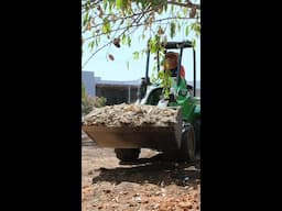 laying mulch in a garden restoration