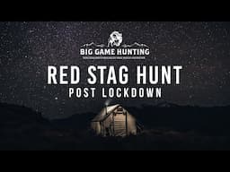 Post Lockdown Red Stag - New Zealand Hunting