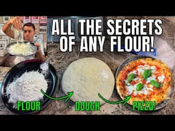 Best Pizza Dough Discovering All Secrets of The Best Flours