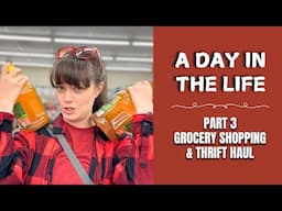 A Day in the Life part 3 - Grocery Shopping and Thrift Haul