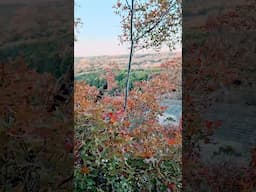 Cleburne State Park Fall Color Change Part 1