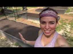 Filling the last raised beds