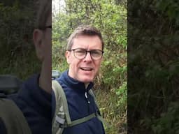 Trainers vs Boots on the Camino del Norte? Mark Weighs In - Day 4 Teaser!