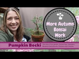 Tackling more Autumn work on my Bonsai collection