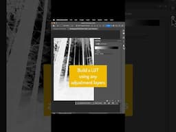 Day-to-Night Photo Conversion in Photoshop: Create Custom LUTs! #adobephotoshop #tutorial