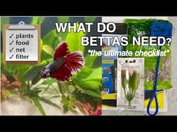 what you *actually* need for a betta fish | the ultimate checklist