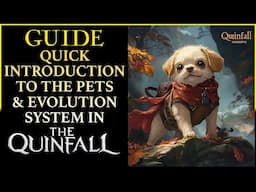 Introduction To The Pet & Evolution System In The Quinfall MMORPG | Quick Guide | Collector/Life Pet