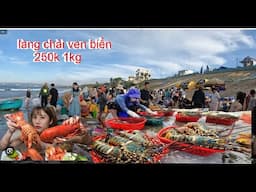 Chợ làng chài mũi né,chợ cá làng chài, ở đây tôm Hùm họ bán rất rẻ,250k một kg,tôm hùm 500k một thau